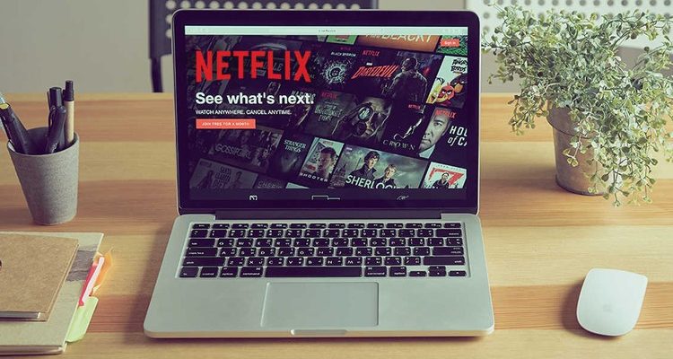[Download] Create a Netflix clone from Scratch: JavaScript PHP + MySQL