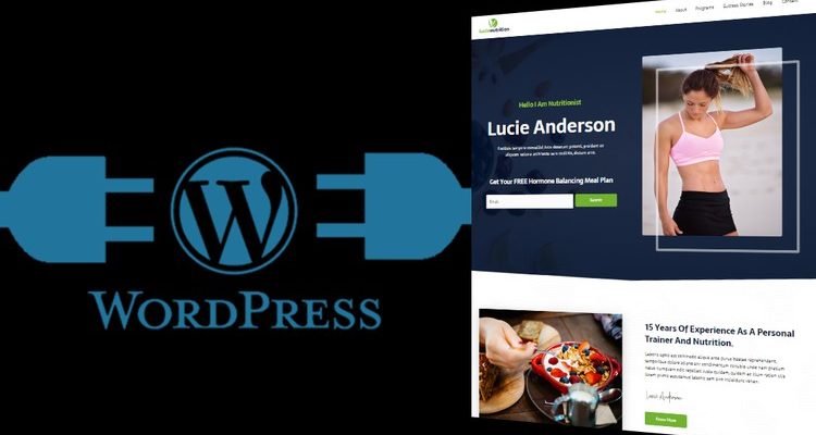 [Download] WordPress Master Course for Beginners & Practicing Elementor